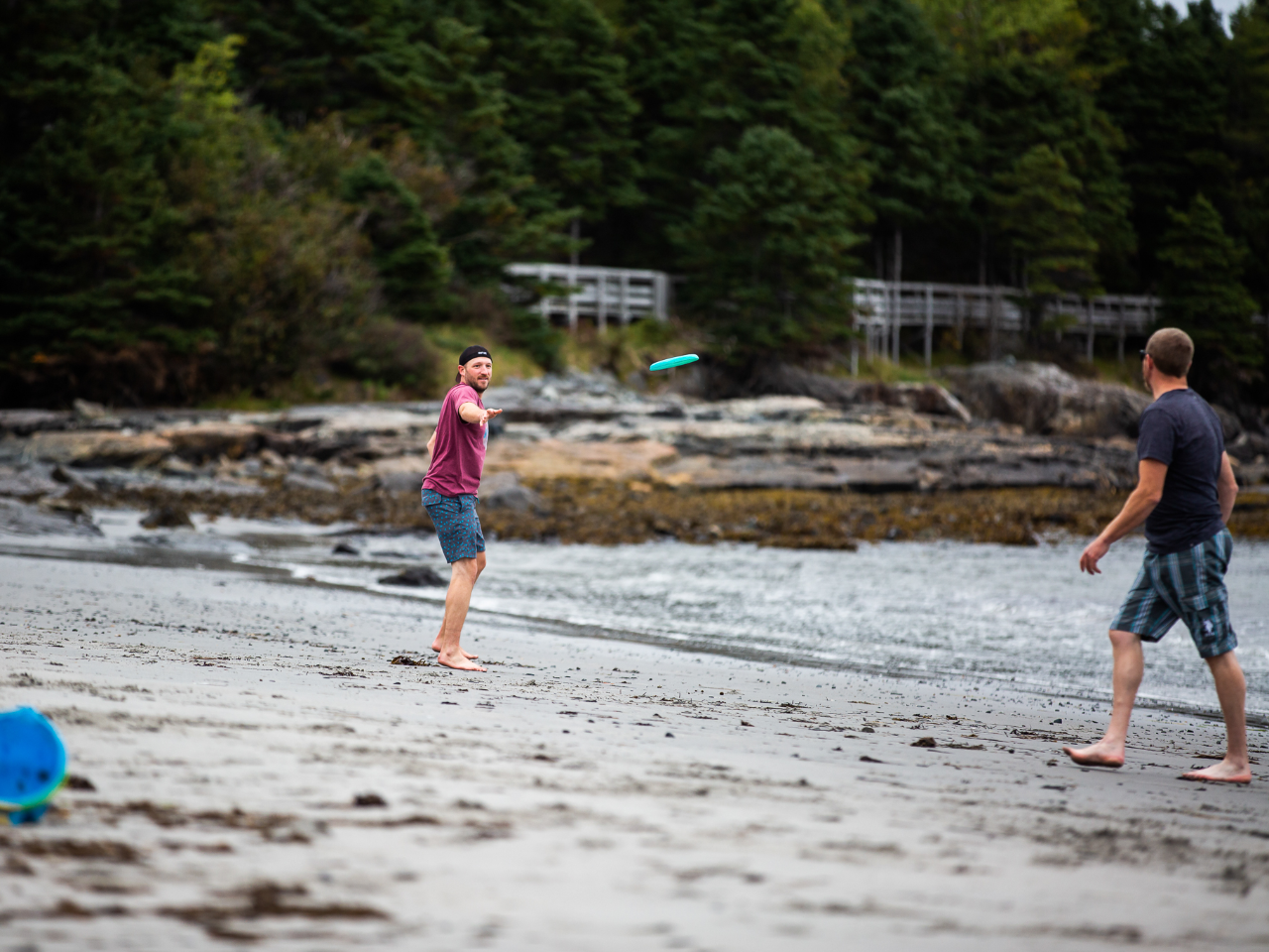 Eastport Beach with the High Tide Trail board walk