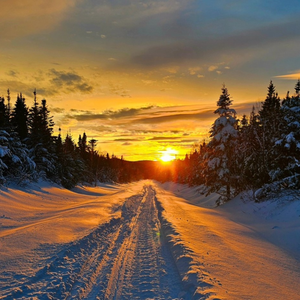 Central Newfoundland Expeditions