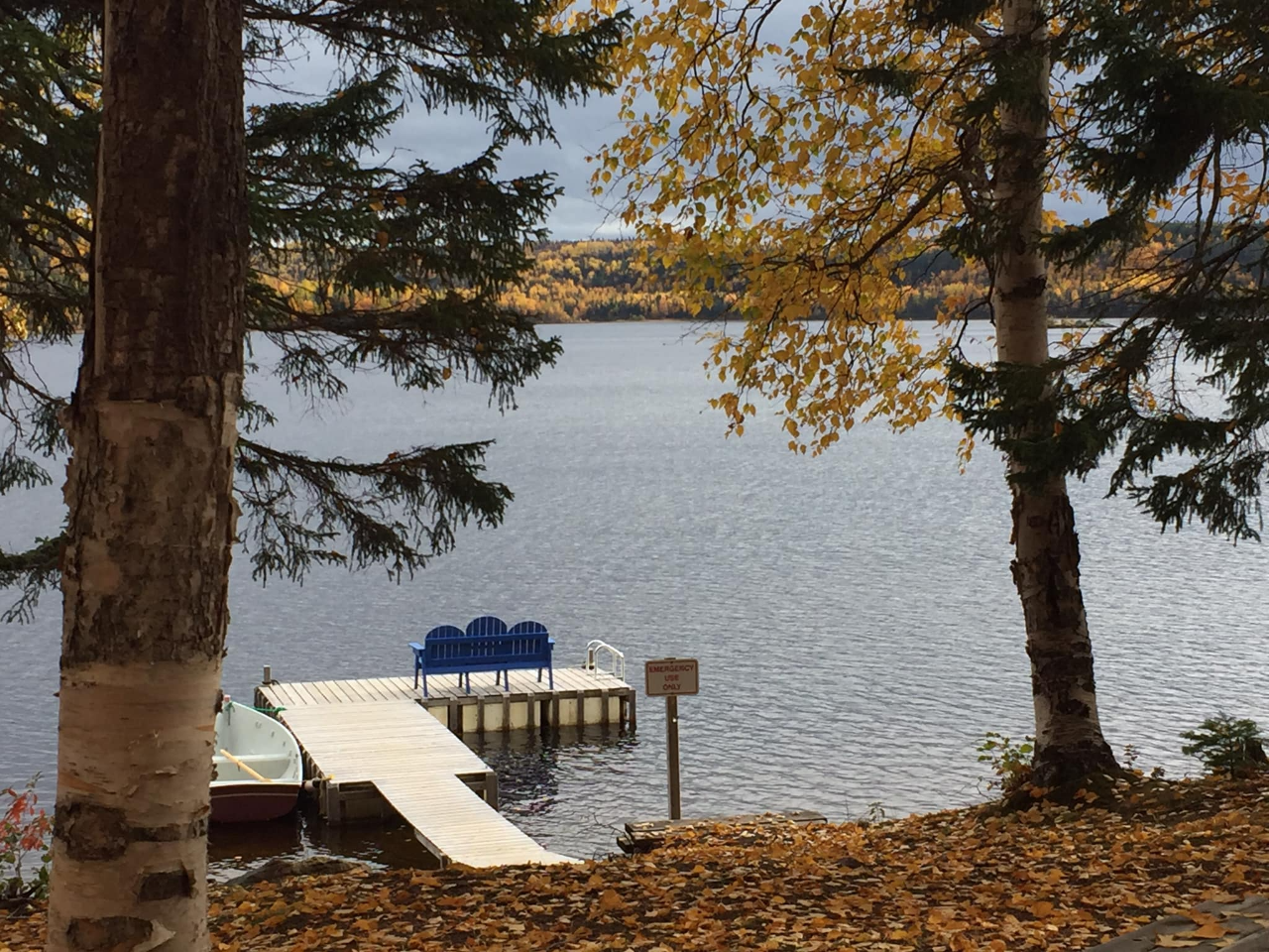 Dock at the park