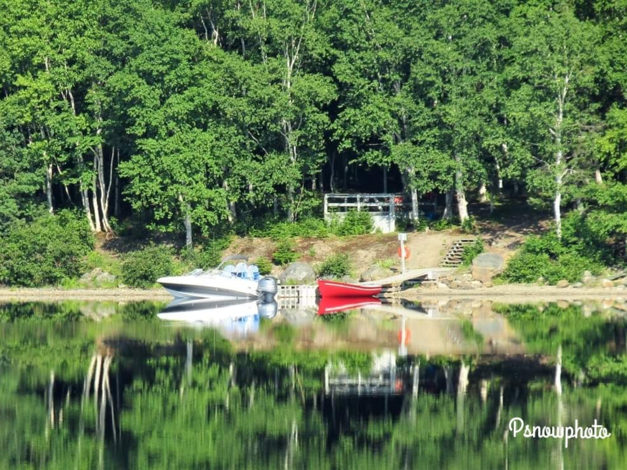 Dock at the park