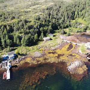Deer Harbour Cottages
