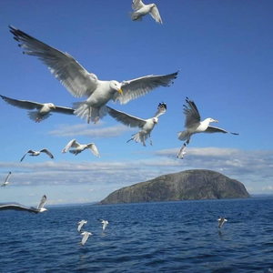 Bay of Islands Outdoor Adventures