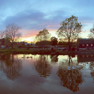 Lester Farms