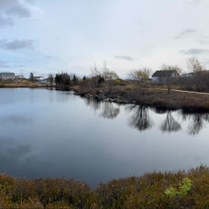 Barney's Pond Walking Trail