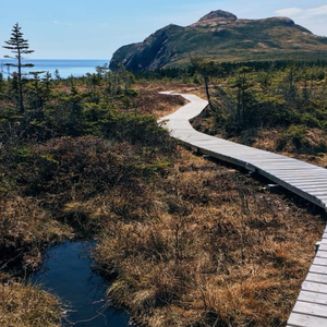 Cape Chapeau Rouge Trail