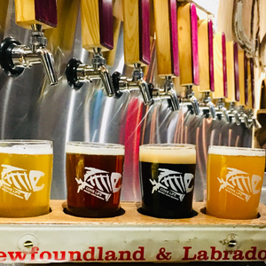 Secret Cove Brewing Company