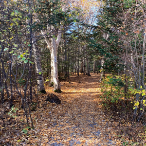 Elizabeth Swan Park