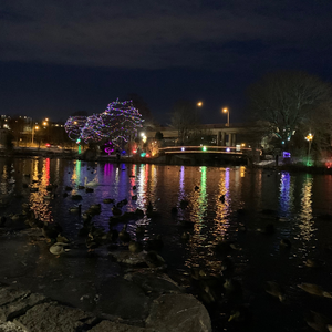 Holiday Lights @ Bowring Park