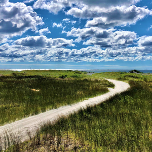 Wonder Shore - Cape Freels Hiking Trail