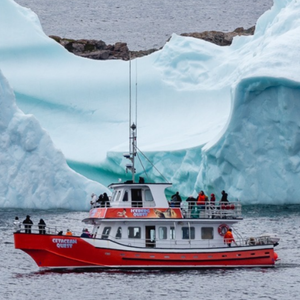 Iceberg Quest Ocean Tours