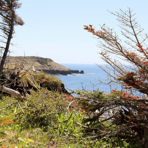 Coastangs Trail