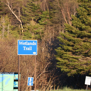 Wetlands Trail