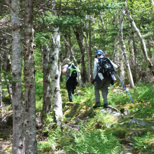 Starlite Trail