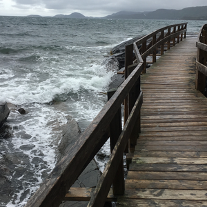 Damnable Trail - High Tide Trail