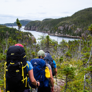Damnable Trail - Coastal Ridge Trail