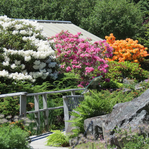 Memorial University of Newfoundland Botanical Garden