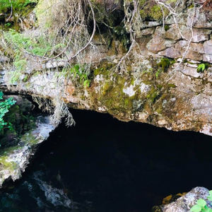 Underground Salmon Pool Trails - Northeast Way Trails