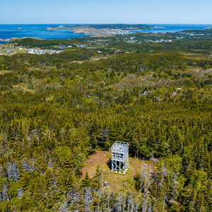 Rockcut Twillingate Trails – Top of Twillingate