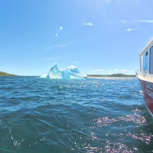 Daily Catch Ocean Tours