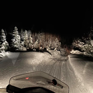 Alexis Hotel Snowmobile Tours