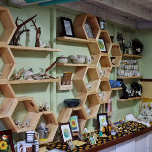 Buzzy Bee Shop