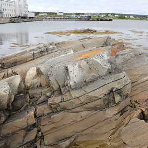 Discovery UNESCO Global Geopark - Port Union Fossil Site