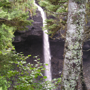 Lomond River Lodge Campground