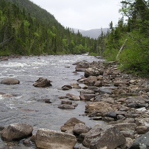 Lomond River Lodge Cottages