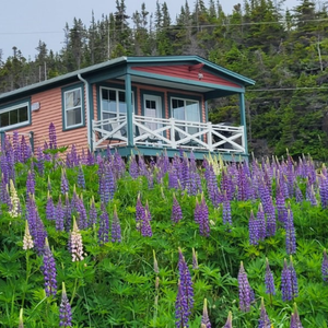 The Boathouse Loft