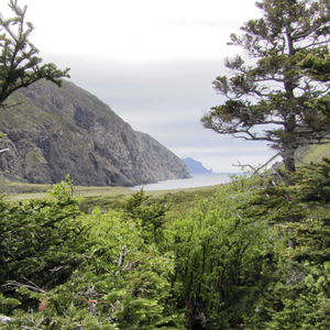 Cedar Cove Hiking Trail