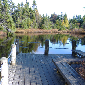 C.A. Pippy Park