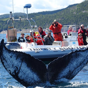 Trinity Eco-Tours