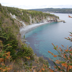 East Coast Trail - Caplin Bay Path