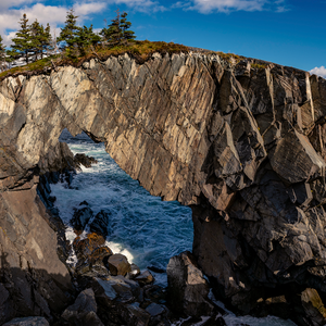 East Coast Trail