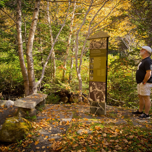 Mattie Mitchell National Historic Site and Trail - Parks Canada Gros Morne National Park