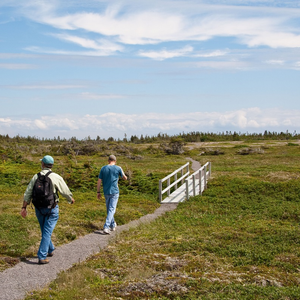 Dorset Trail - Port au Choix National Historic Site, Parks Canada