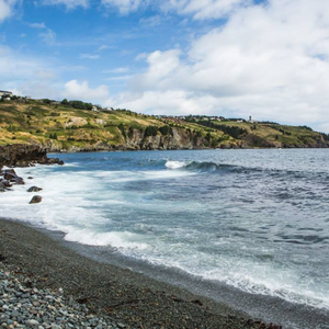Torbay Beach