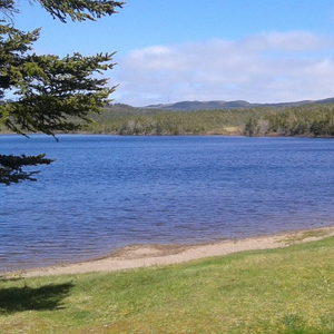 Landing Place Pond Walking Trail