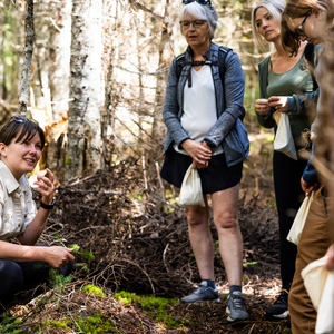 Upper Humber Settlement Tours & Experiences