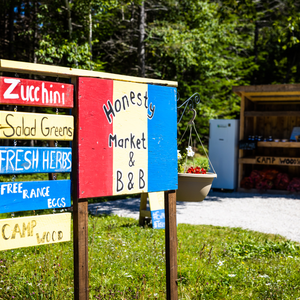 The Settlement NL