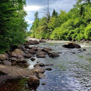 Smallwood Trail System