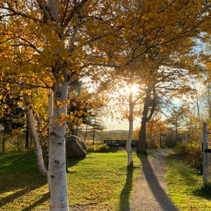 Ken Diamond Memorial Park & Trail