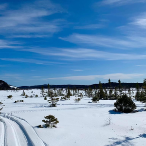 Glovertown Winter Carnival