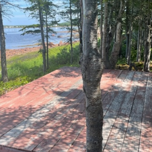 Mealy Mountain Gallery & Experience Labrador