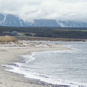The Grand Codroy Estuary- The Nature Conservancy of Canada