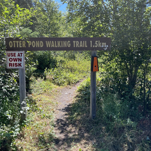 Otter Pond