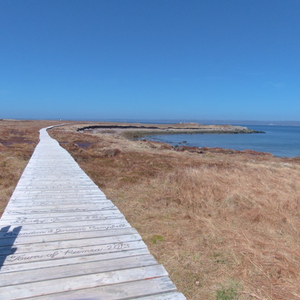 Man-O-War Hill / Ramea Walking Trail