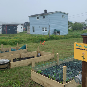 Ball Family Community Garden