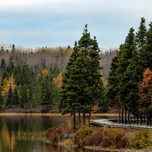 Woolfrey's Pond Trail & Campground