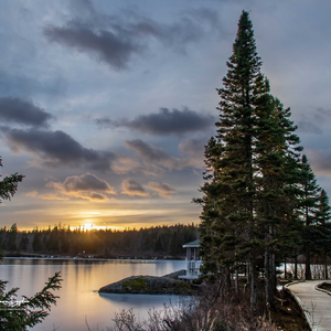 Woolfrey's Pond Boardwalk